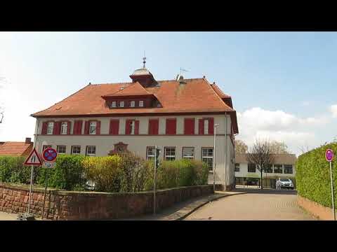 Radtour ins Blaue, ohne Ziel, mit Geschichte, alte Eichen und Zwieselbäumen