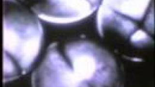 Danielle Dax - Pariah