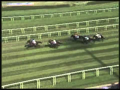 Premio Dormello 2011 (GR3)