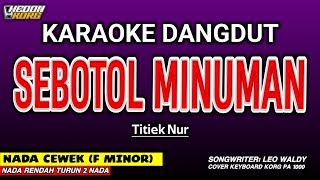 Download lagu SEBOTOL MINUMAN KARAOKE DANGDUT - NADA WANITA mp3