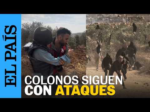 ISRAEL | Colonos atacan a agricultores palestinos en los campos de aceitunas en Cisjordania