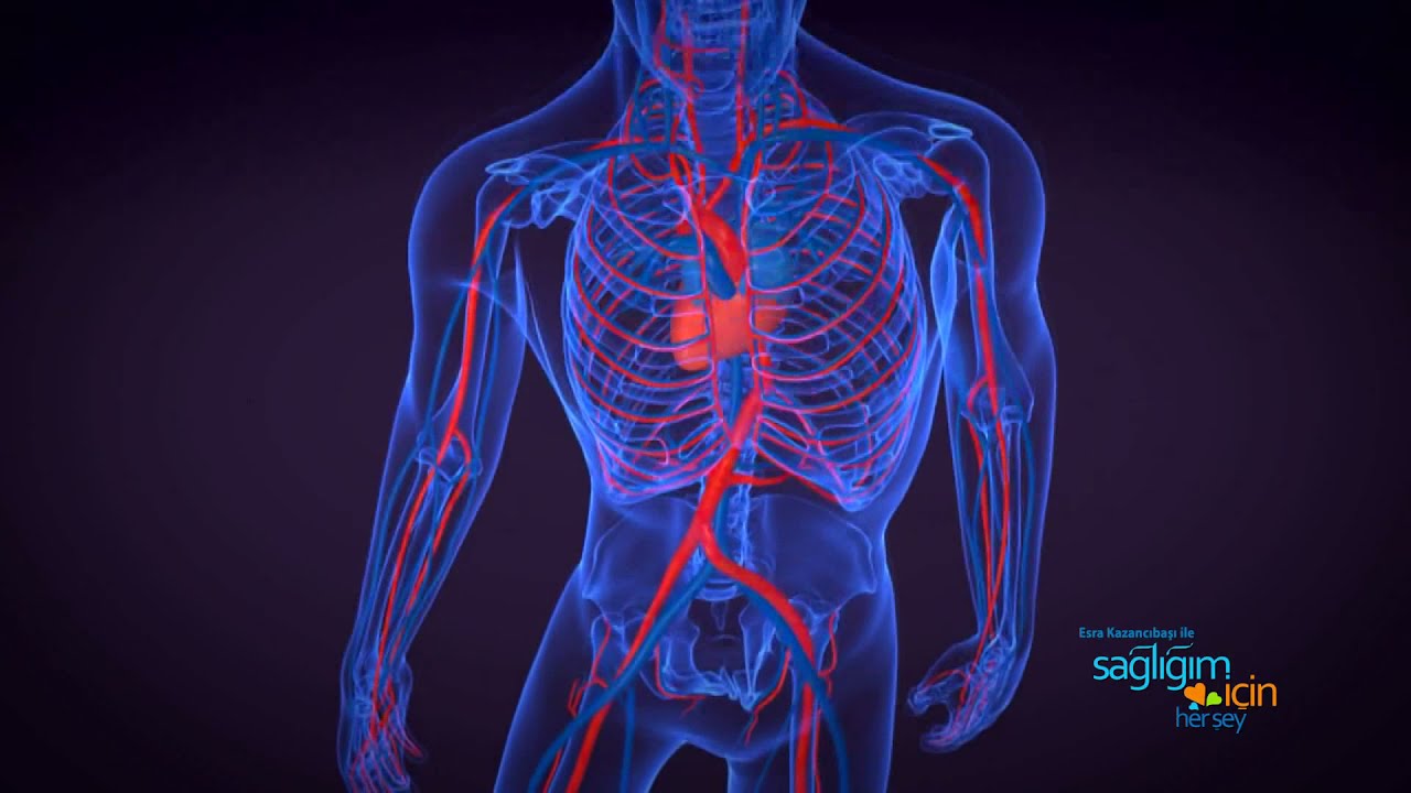 Sağlığım İçin Herşey 20 Mart Cumartesi Programı