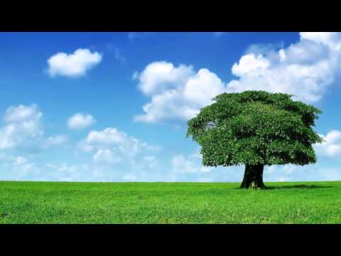 [1 Hour] Healing Tambura -  Heart Chakra Meditation Music | Taanpura Sounds