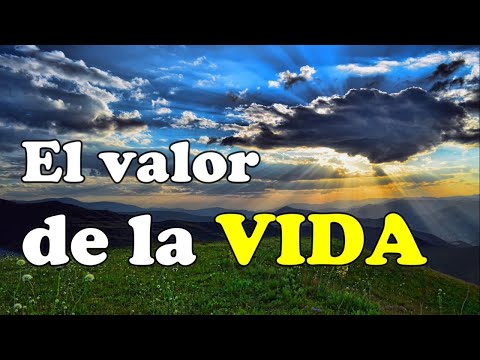 EL VALOR DE LA VIDA | Reflexiones al día