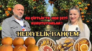 Tazesiyle kurusuyla tüm Türkiye’ye meyve gönderiyor/ Hediyelik Bahçem