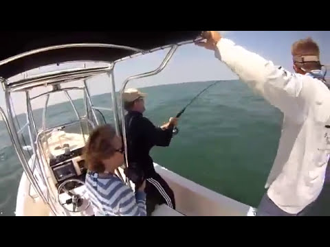 Cobia Fishing with Daytona Beach Fishing Charter — New Smyrna Beach, FL
