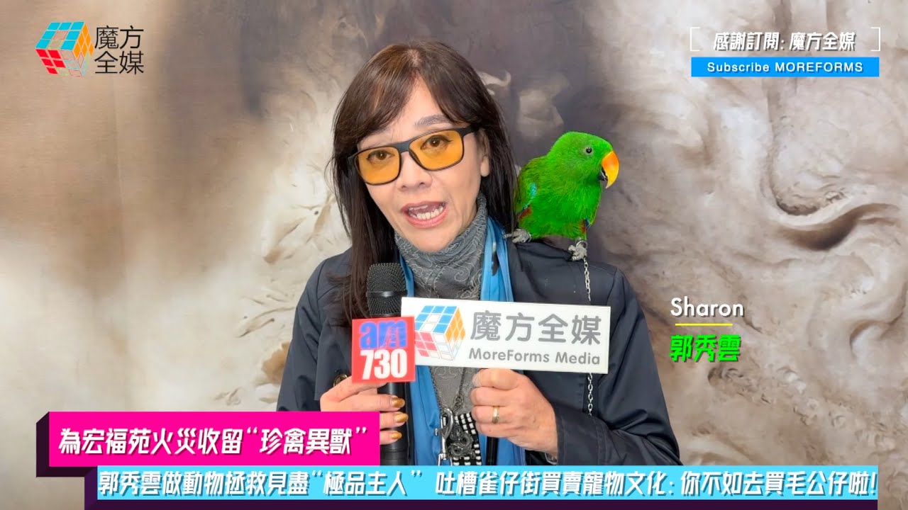 【為宏福苑火災收留“珍禽異獸”】郭秀雲做動物拯救見盡“極品主人” 吐槽雀仔街買賣寵物文化：你不如去買毛公仔啦！