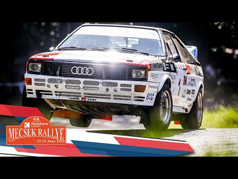 Andrea Zivian "Zippo" - Denis Piceno 55. Mecsek Rally 2022 | Versenyzői film