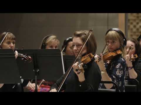 Amphibious Zoo - The Power Of Live Musicians