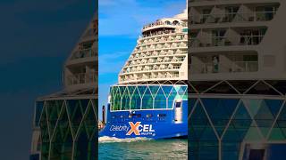 Celebrity Xcel 🛳️ #like #share #comment #subscribe #youtubeshorts #cruise #travel #shorts #yt #fun