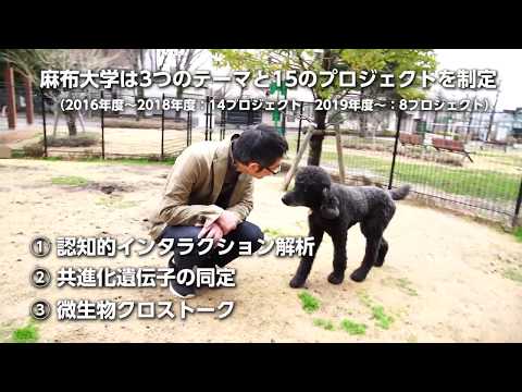 麻布大学研究ブランディング事業の紹介