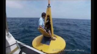 Meteorological Data Buoys