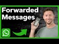 How To Check Forwarded Messages On WhatsApp