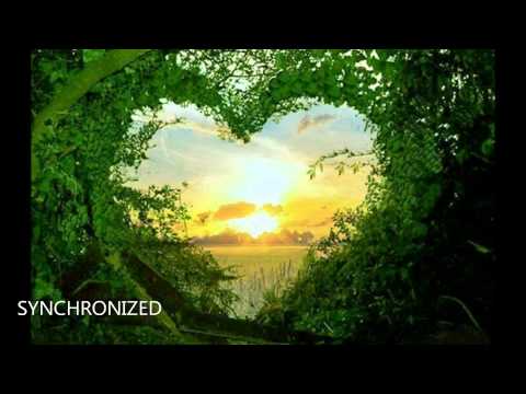 Jesper Olesen - Renaissance (Farzam Remix) [SYNCHRONIZED] FSOE 331