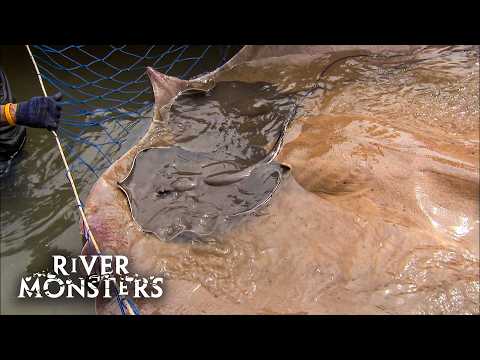 River Monsters Full Episode - Season 2, Episode 4 - Death Ray