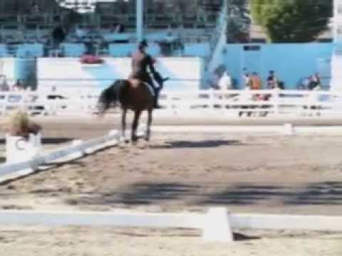 Lauren Sprieser and L'Etoile 6 - freestyle at Devon 2005