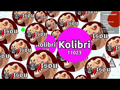 Noob With Bots Trying to Popsplit in Agar.io