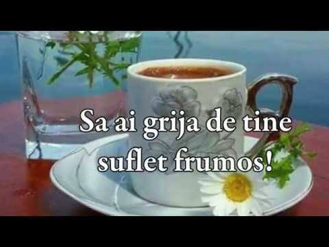 tipuri de descriere a penisului de ce apare o erecție dimineața