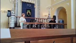 Video Cestičko blódivá