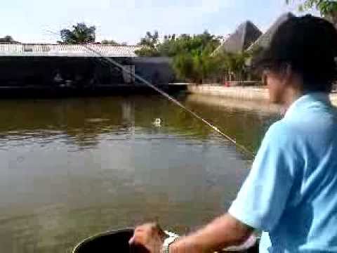 Huỳnh Minh Khoa - Hồ Goldfish 2013