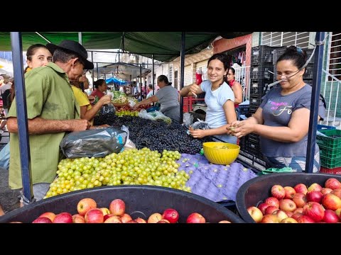 A TRADICIONAL FEIRA LIVRE DE JOÃO ALFREDO - PE | VALE A PENA CONHECER!