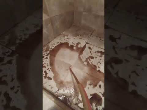 Petek temizlik videosu