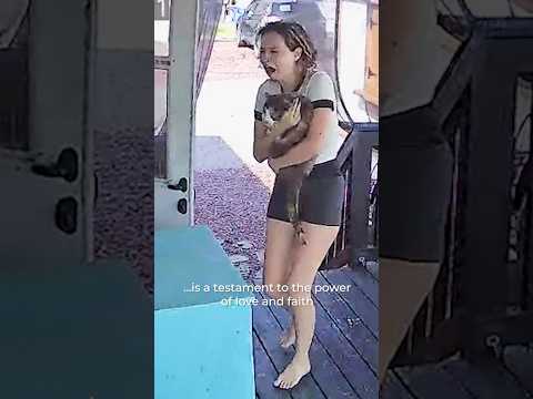 Missing Cat Returns Home