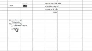 formulario en excel  boton de opcion y cuadro de grupo