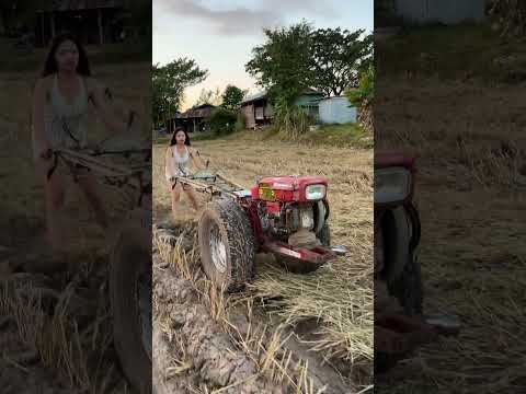 รีบไถนาก่อน #ไถนา #funny #haaha