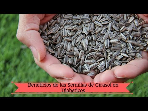 Manual de instrucciones de insulina Humulin NPH Tabletas diabéticos en una carta en