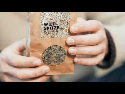 Tschabrun News - Organoid