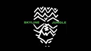 Skyline - Rave (Official Audio)