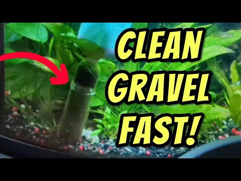 Fish Tank Cleaning Just Got WAY Easier! Hygger Gravel Vaacuum HG955