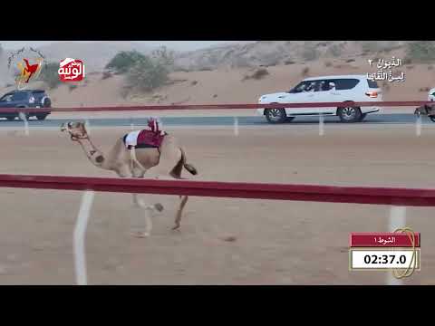   ش 1 (الظبي) لـ جمعه محمد خليفه الغفلي 6:13 , شارة الديوان 2 2026/09/26 لقايا اللبسه 