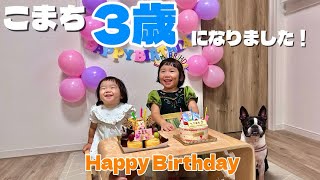【3歳のお誕生日】こまちのバースデーパーティー🎂こむぎも一緒にお祝いしました！