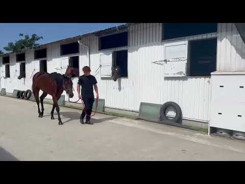 {{itemName}}_video_thumbnail