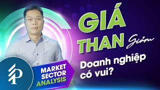 Giá than thì liên quan gì tới HPG, BCC, HT1, BTS… ? | Phân tích vĩ mô