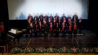preview picture of video 'Festival dei Cori Cantus Angeli 2014 - Nettaim Choir'