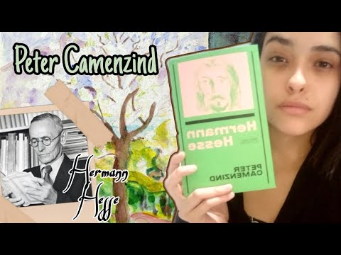 Peter Camenzind, de Hermann Hesse ????| Um jovem bifilo aprendendo sobre a vida.