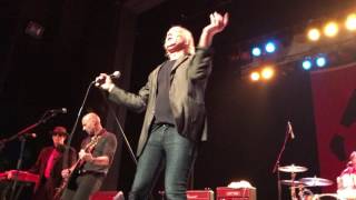 Radio Birdman - Murder City Nights (live)