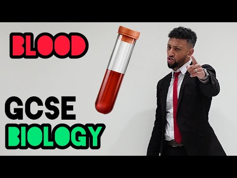 Science Raps: GCSE Biology - Blood
