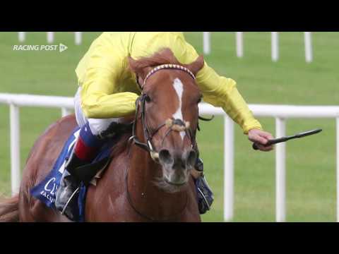 Qipco 1000 Guineas: Sea Of Grace
