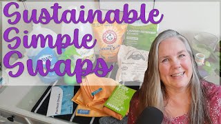 2024 simple sustainable swaps