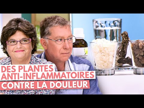 , title : 'DES PLANTES ANTI INFLAMMATOIRES CONTRE LA DOULEUR'