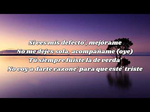 Yailin La Más Viral, Shadow Blow Solo Tú y Yo Letra