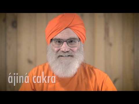 The Yoga Chakras by Dada Vedaprajinananda