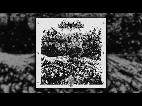 Wisphaven - Asylum (EP - 2020)