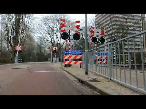 Rotterdam Ommoord tour