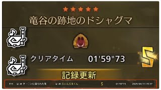 【MHWilds】闘技大会:ドシャグマ 狩猟笛 ペア 01'59"73 【モンハンワイルズ】