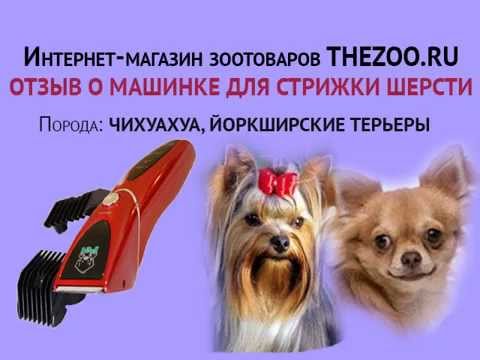 Отзыв: Алла Анатольевна, машинка Codos CP-8000, порода - йоркширский терьер, чихуахуа